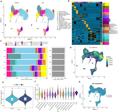 Development of a diagnostic and risk prediction model for Alzheimer’s disease through integration of single-cell and bulk transcriptomic analysis of glutamine metabolism